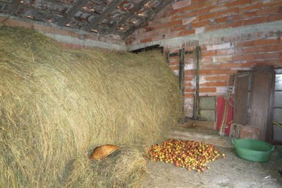 1702374418xkhsxleytmzg84