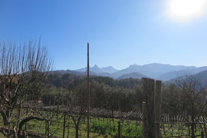 Image No.42-3 Bed Property for sale