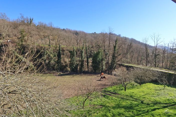 Image No.91-10 Bed Farmhouse for sale