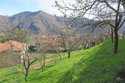 1742910492ms80hakqhqcmzu