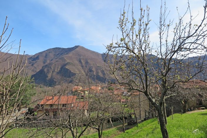 Image No.16-1 Bed Property for sale