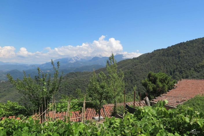 Image No.21-2 Bed Village House for sale