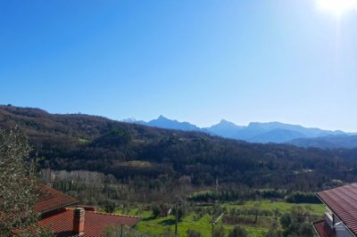 1743695451zbua0h3npuoodm