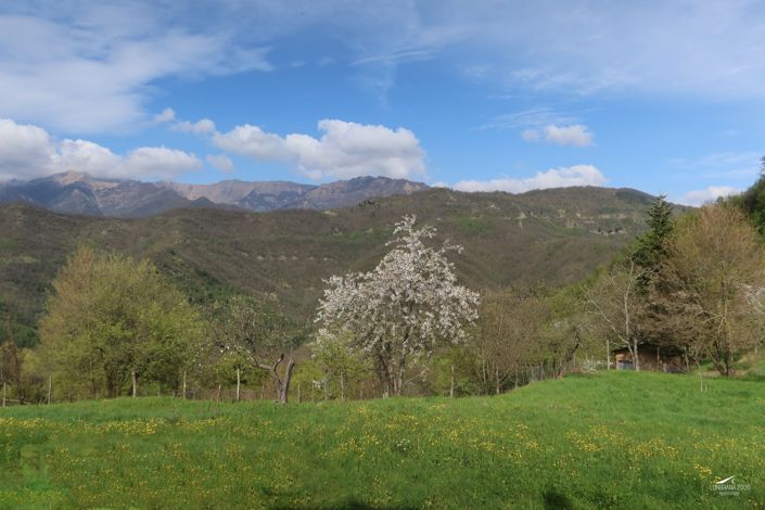 Image No.29-3 Bed Property for sale