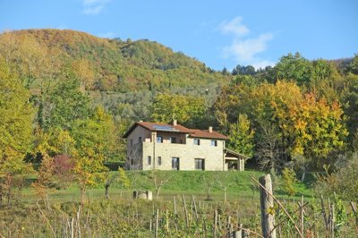 1669626734yhwbfpkjsvkuk0