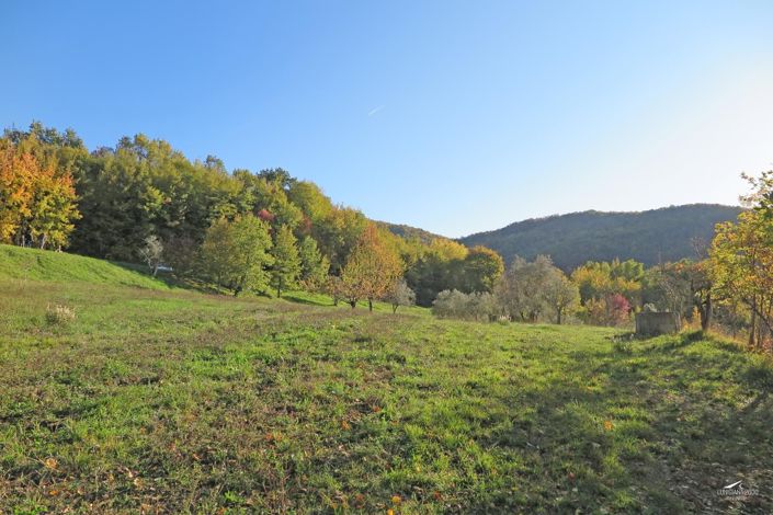 Image No.49-Ferme de 3 chambres à vendre à Fivizzano
