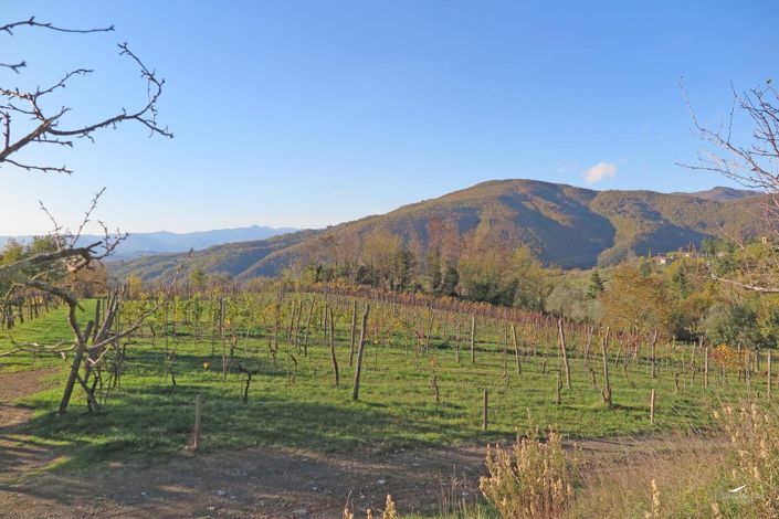 Image No.50-3 Bed Farmhouse for sale