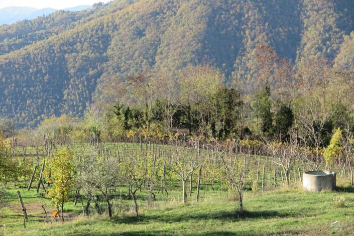 Image No.52-Ferme de 3 chambres à vendre à Fivizzano