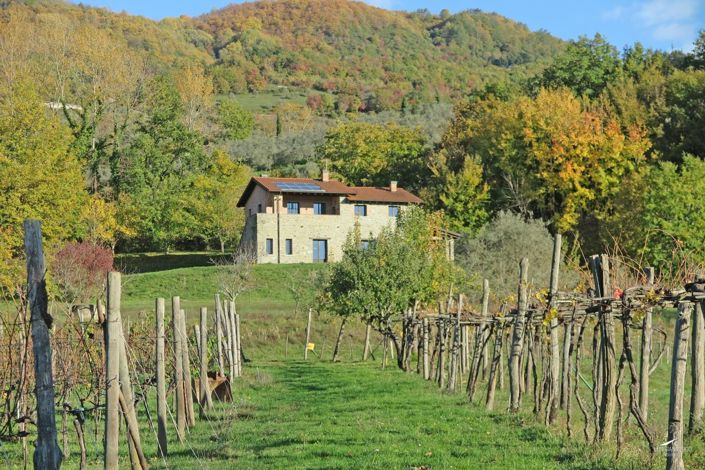Image No.53-Ferme de 3 chambres à vendre à Fivizzano