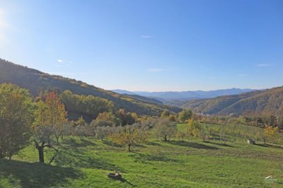 1669626721xfsnuglimppgpb