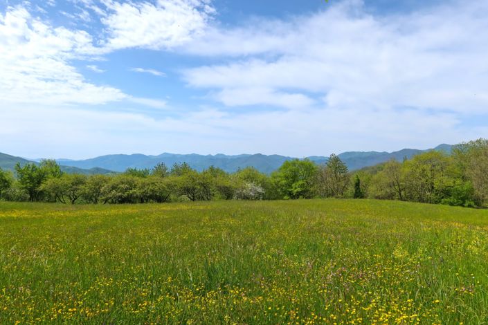 Image No.54-3 Bed Property for sale