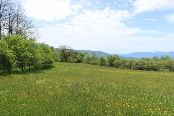 Image No.55-Propriété de 3 chambres à vendre à Pontremoli