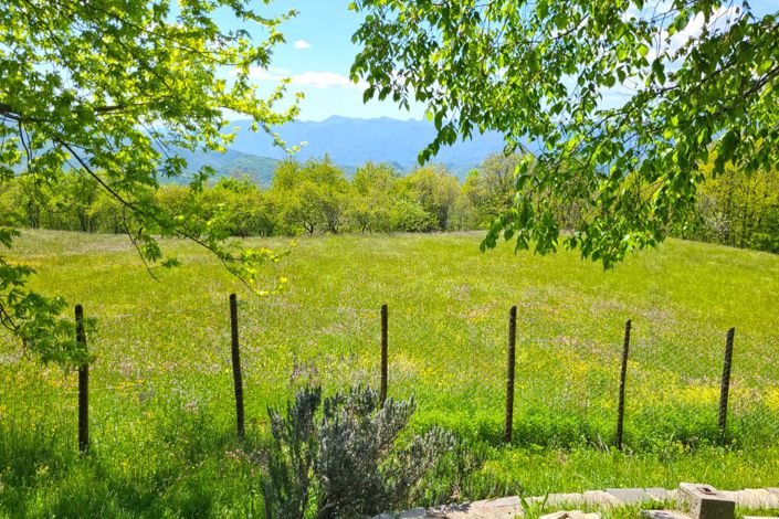 Image No.57-3 Bed Property for sale