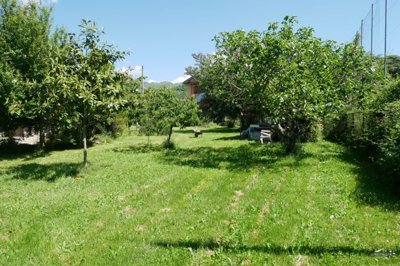 1747409264tfi7io42hhodsd