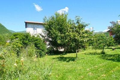 1747409250myg1w7hwppaibu