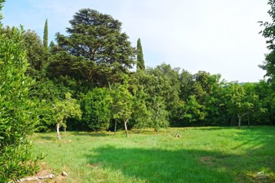 1750154366kcszrjj1fsrt9m