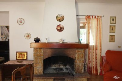 17561245938c6hns49pu5bpt