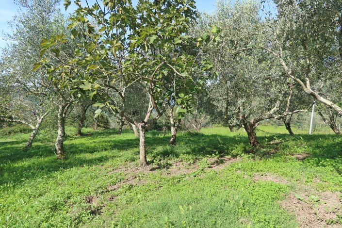 Image No.33-2 Bed Property for sale