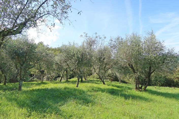 Image No.34-Propriété de 2 chambres à vendre à Casola in Lunigiana