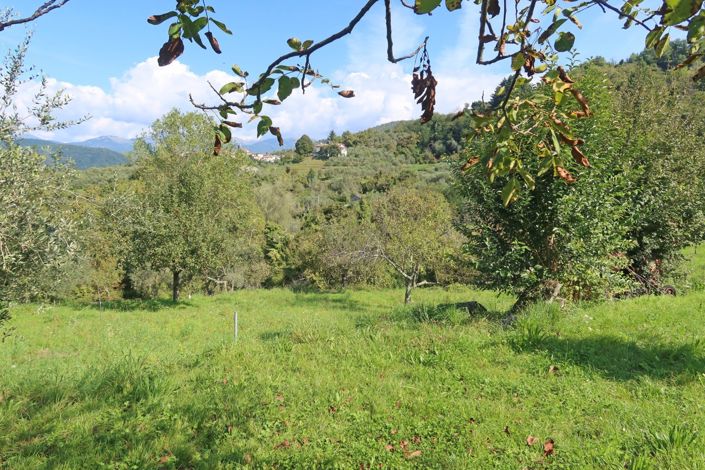 Image No.43-4 Bed Property for sale