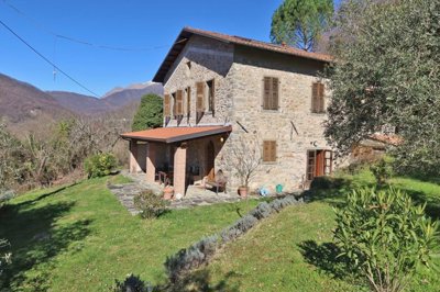 1771851342c236c9x0y4wlxt