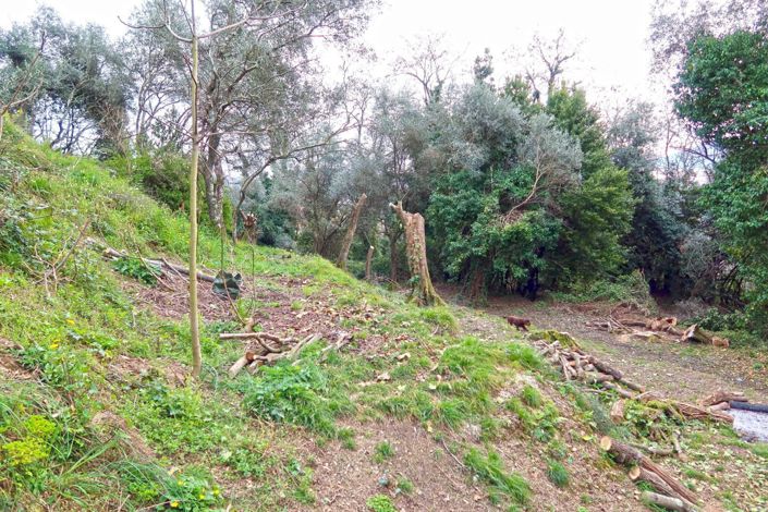 Image No.20-Propriété de 5 chambres à vendre à La Spezia