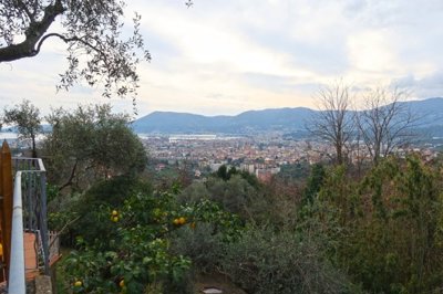 1773050498p548ucoqcol1pq