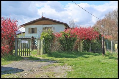 1773411358ulvkpdug4ujamn