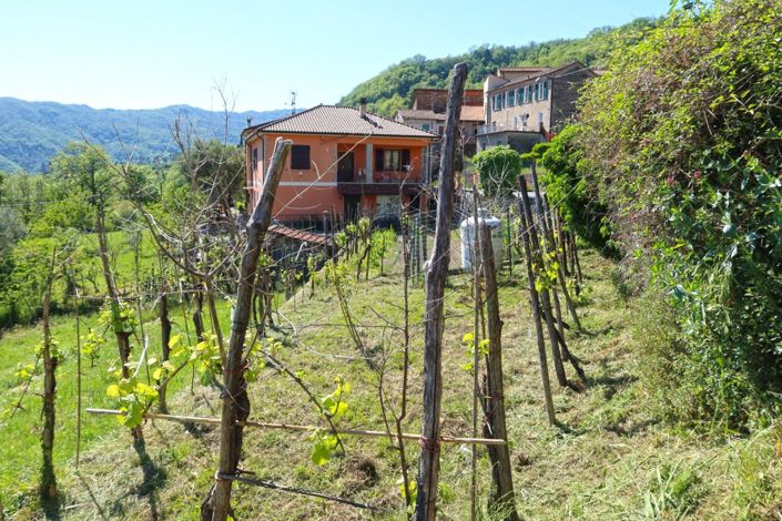 Image No.22-Propriété de 2 chambres à vendre à Tresana