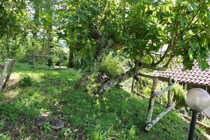 Image No.12-Propriété de 2 chambres à vendre à Bagnone