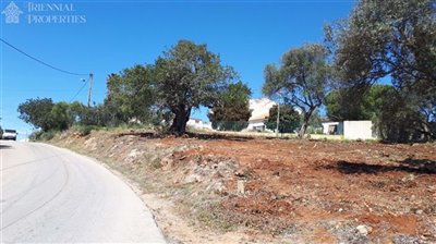 1 - Alcantarilha, Terre