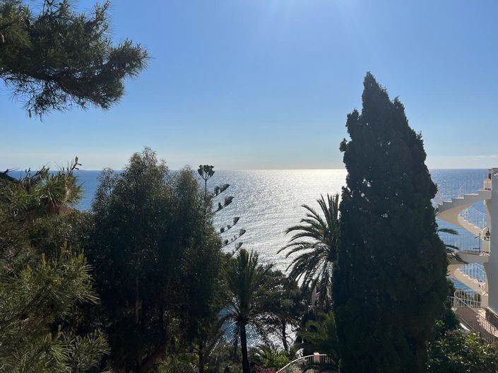 Image No.3-Terre à vendre à Javea