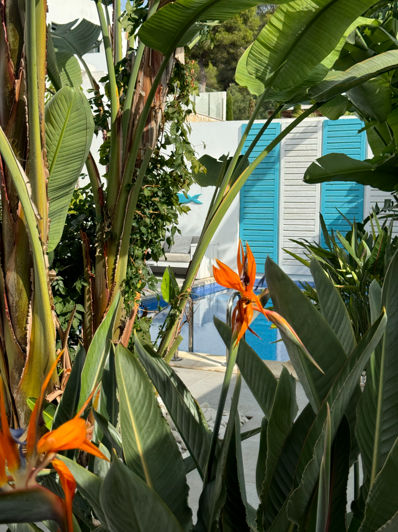 Image No.25-Villa de 4 chambres à vendre à Moraira