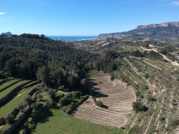 o1inbq2fg35qem9qt1plfob8t1d