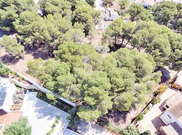 Image No.10-Terre à vendre à Moraira