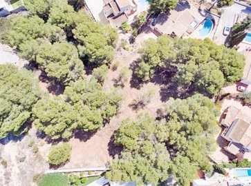 o1ipmlftahons50g1ebc1tsh1eeg1q