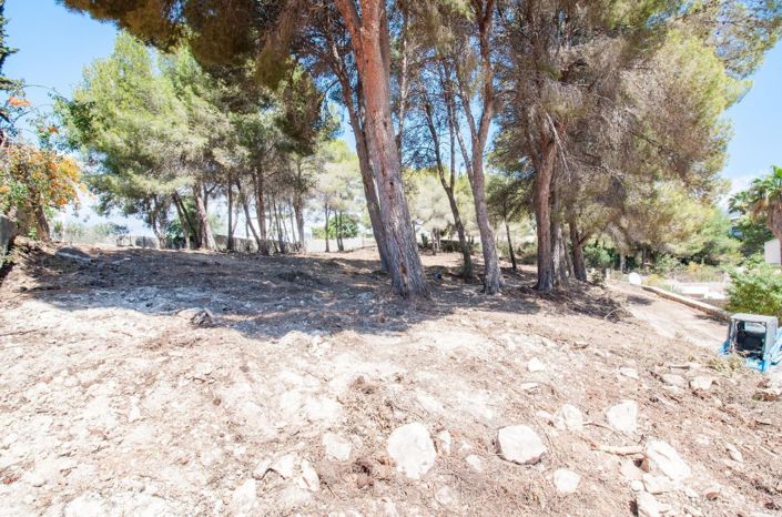 Image No.9-Terre à vendre à Moraira