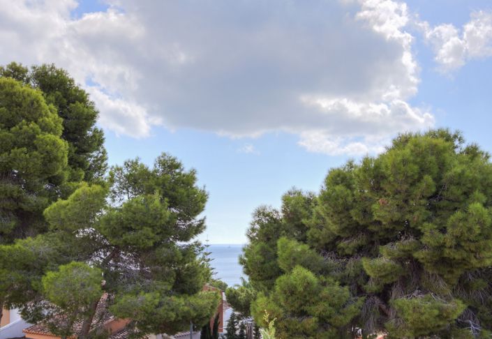 Image No.25-3 Bed Villa for sale