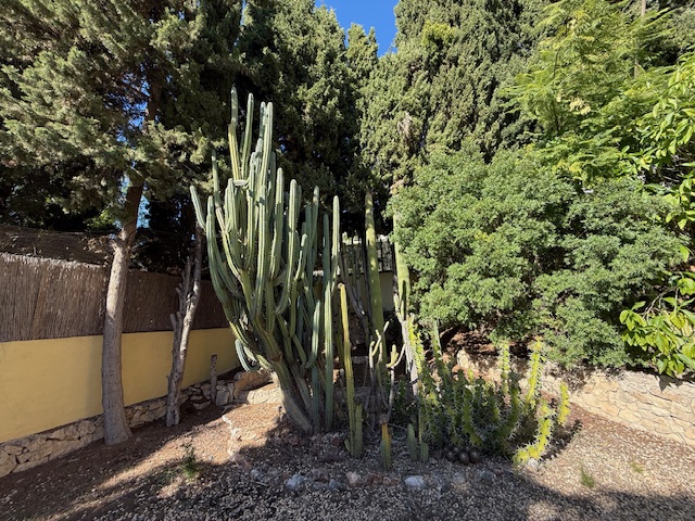 Image No.41-4 Bed Villa for sale