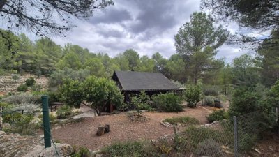 o1jht8g1amr7lq31vrt9h6jlq1t