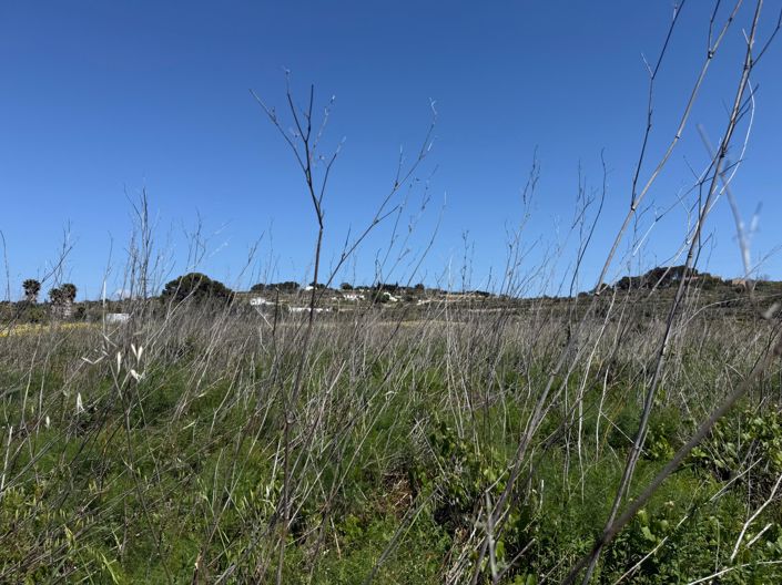 Image No.3-Land for sale