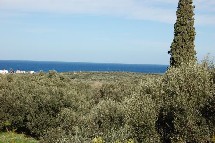 Image No.6-Maison de 3 chambres à vendre à Milatos