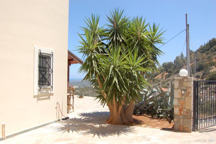 Image No.4-Maison de 2 chambres à vendre à Malia