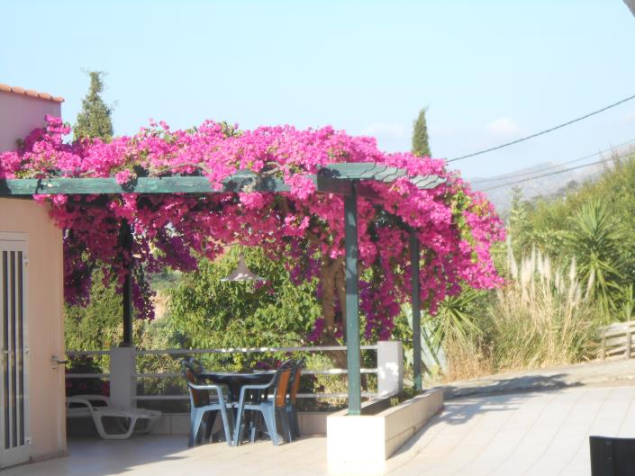 Image No.3-Maison de 3 chambres à vendre à Malia