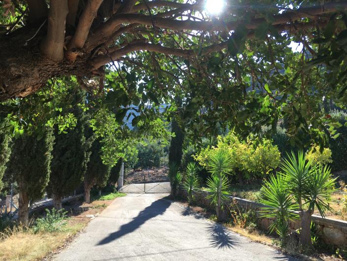 Image No.8-Maison de 3 chambres à vendre à Malia