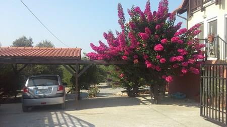 Image No.17-4 Bed House for sale