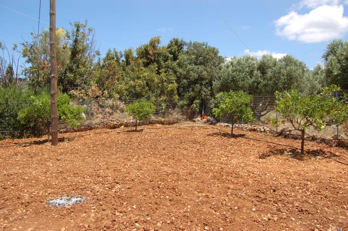 Image No.5-Maison de 3 chambres à vendre à Sissi