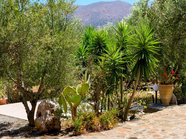 Image No.1-floorplan-1