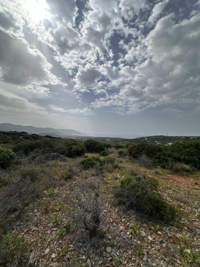 Image No.11-Terrain à vendre à Sissi