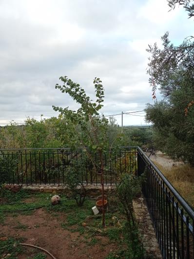 Image No.26-3 Bed Bungalow for sale